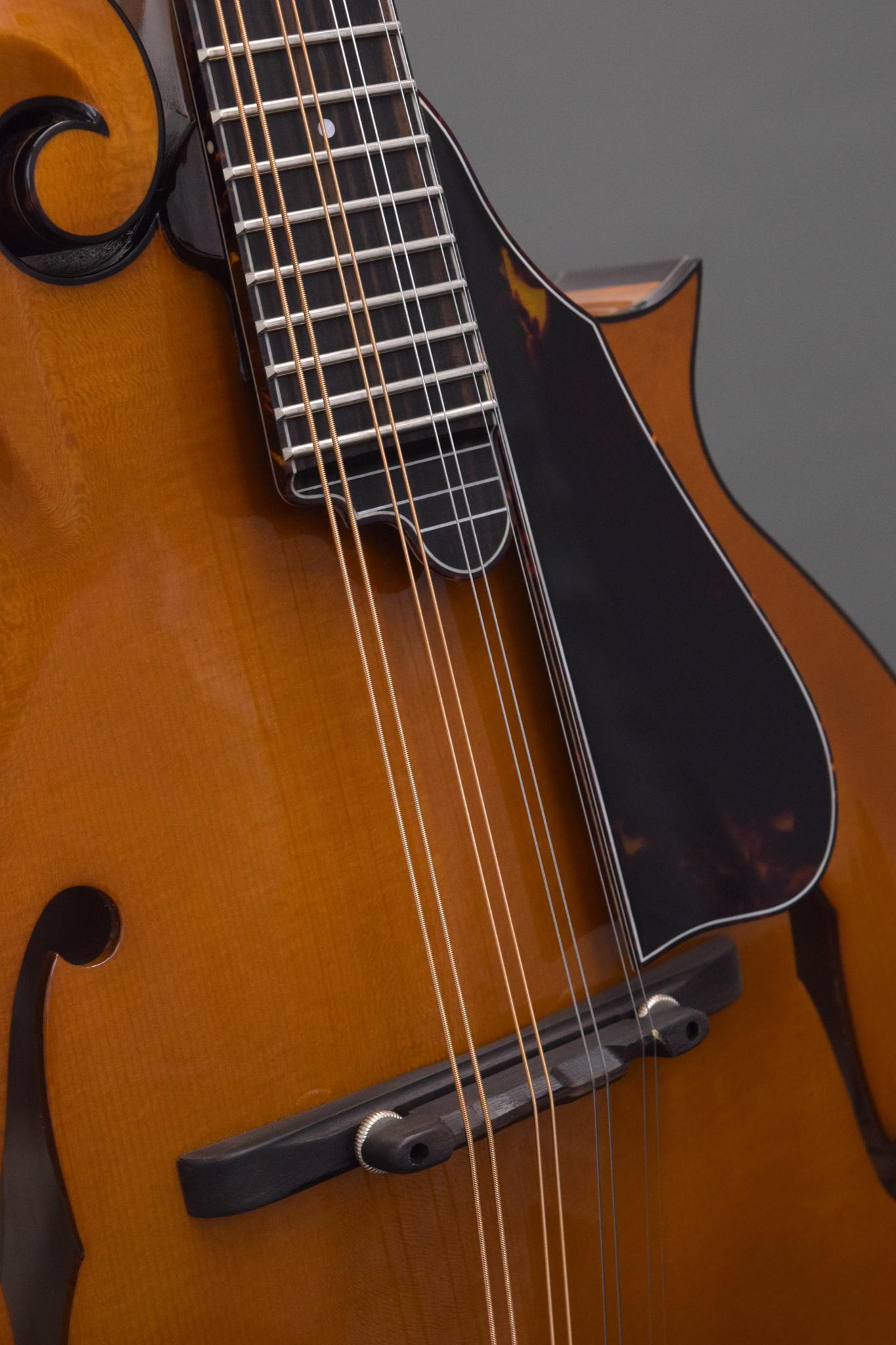 Northfield Big Mon w/ Engelmann Top in Amber (#B260885)