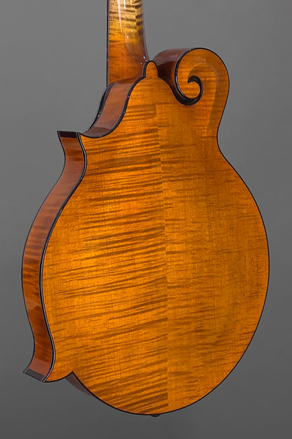 Northfield Big Mon w/ Engelmann Top & Wide Nut in Amber (#B250844)