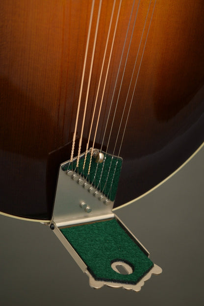 Big Mon tailpiece with the cover lifted, showing the string anchors and green felt