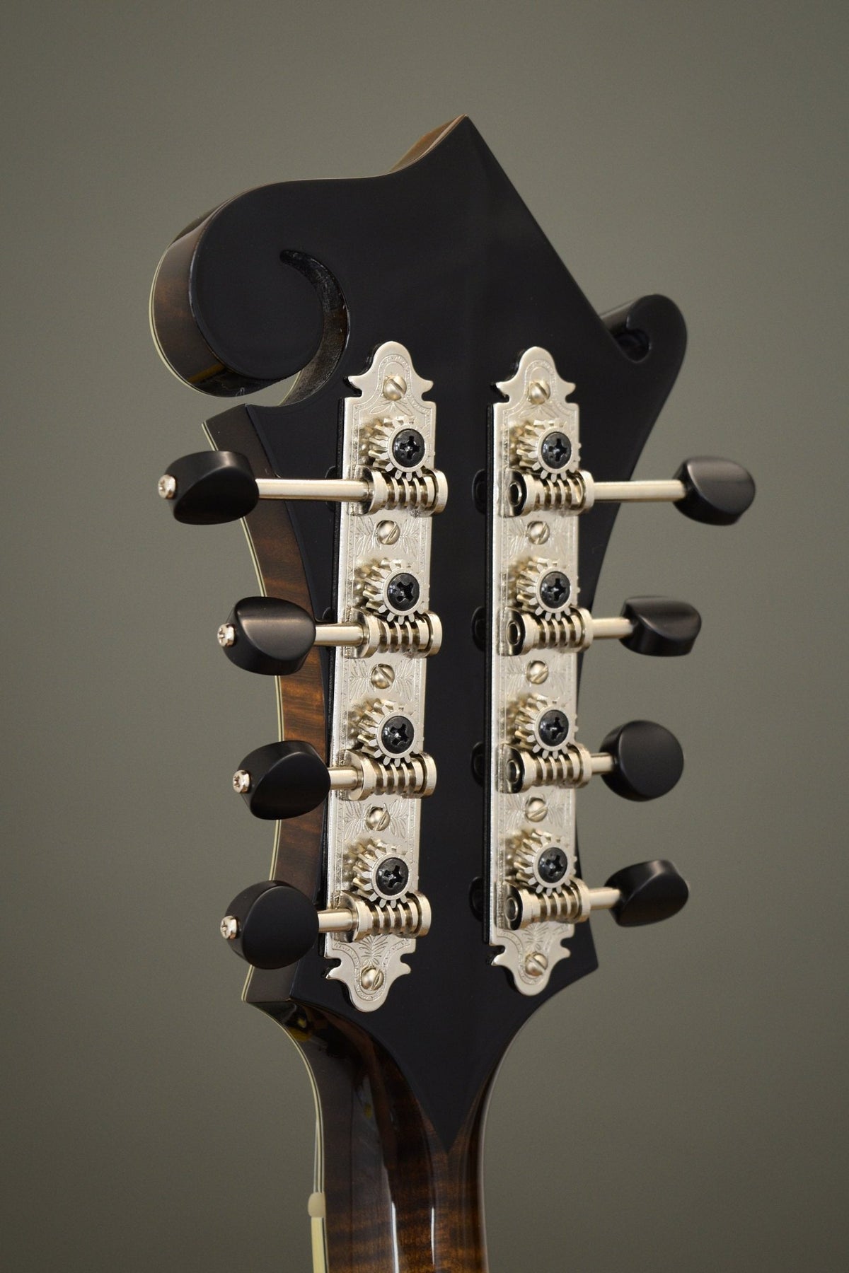 Back of the Big Mon headstock with engraved Gotoh tuners