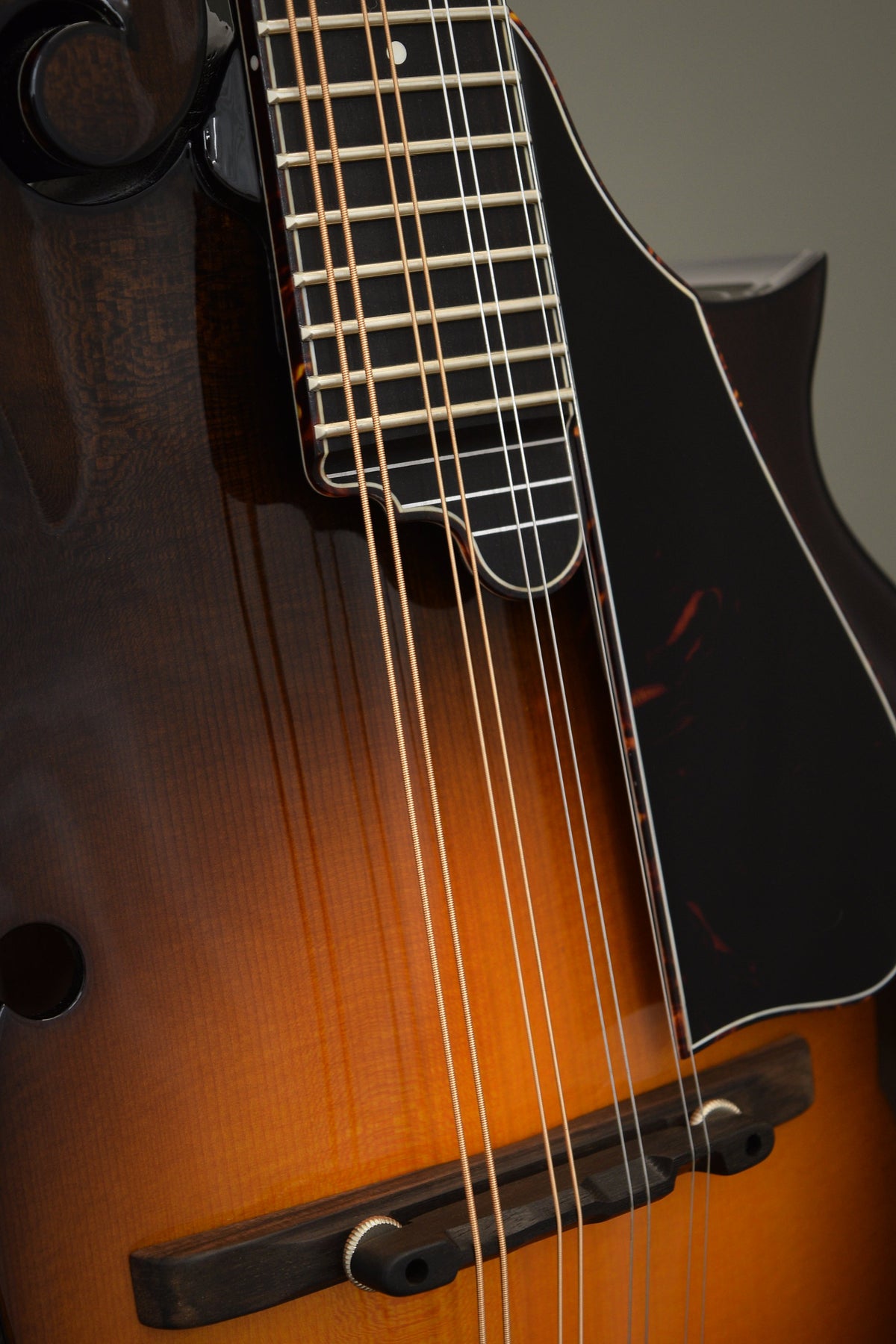 Tortoise pickguard, fingerboard extension, and ebony bridge on the Big Mon mandolin