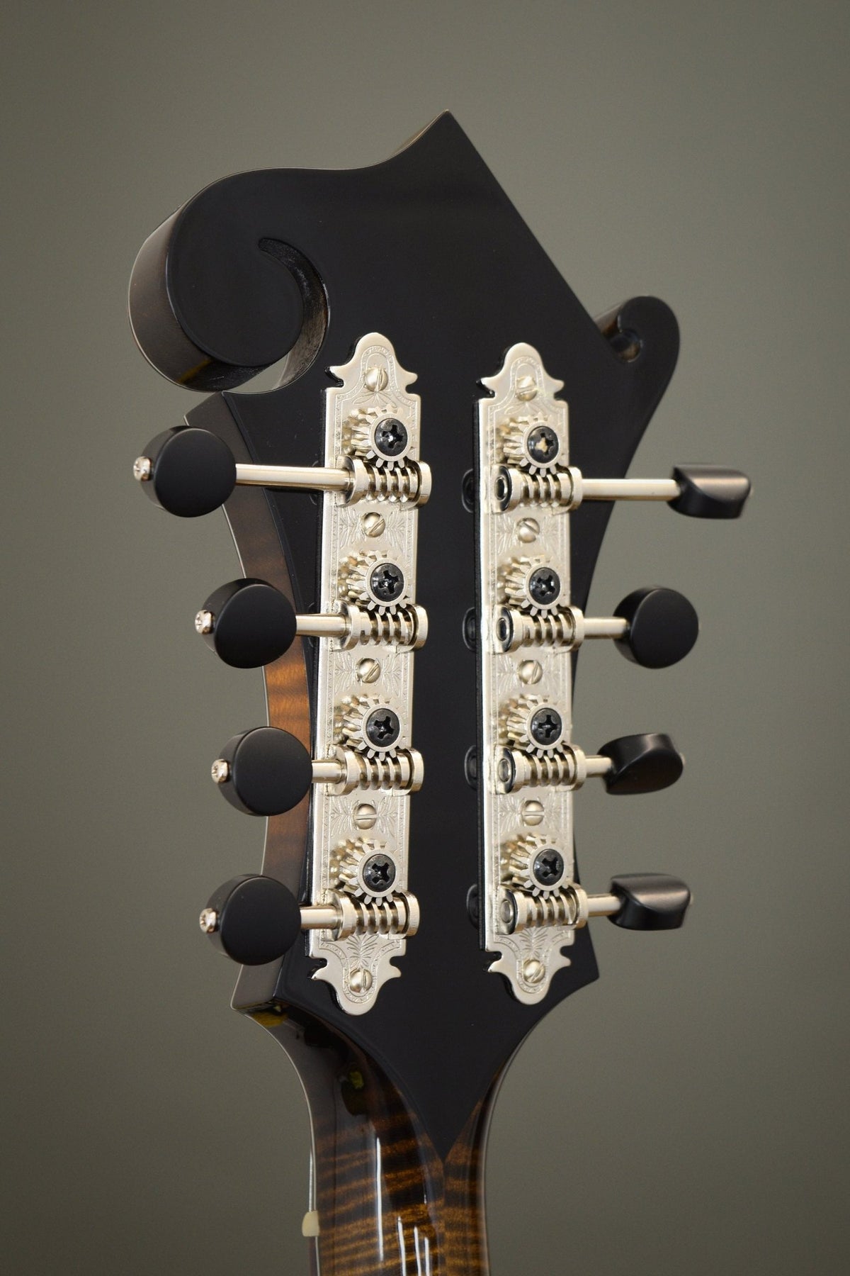 Back of the Big Mon headstock with engraved Gotoh tuners