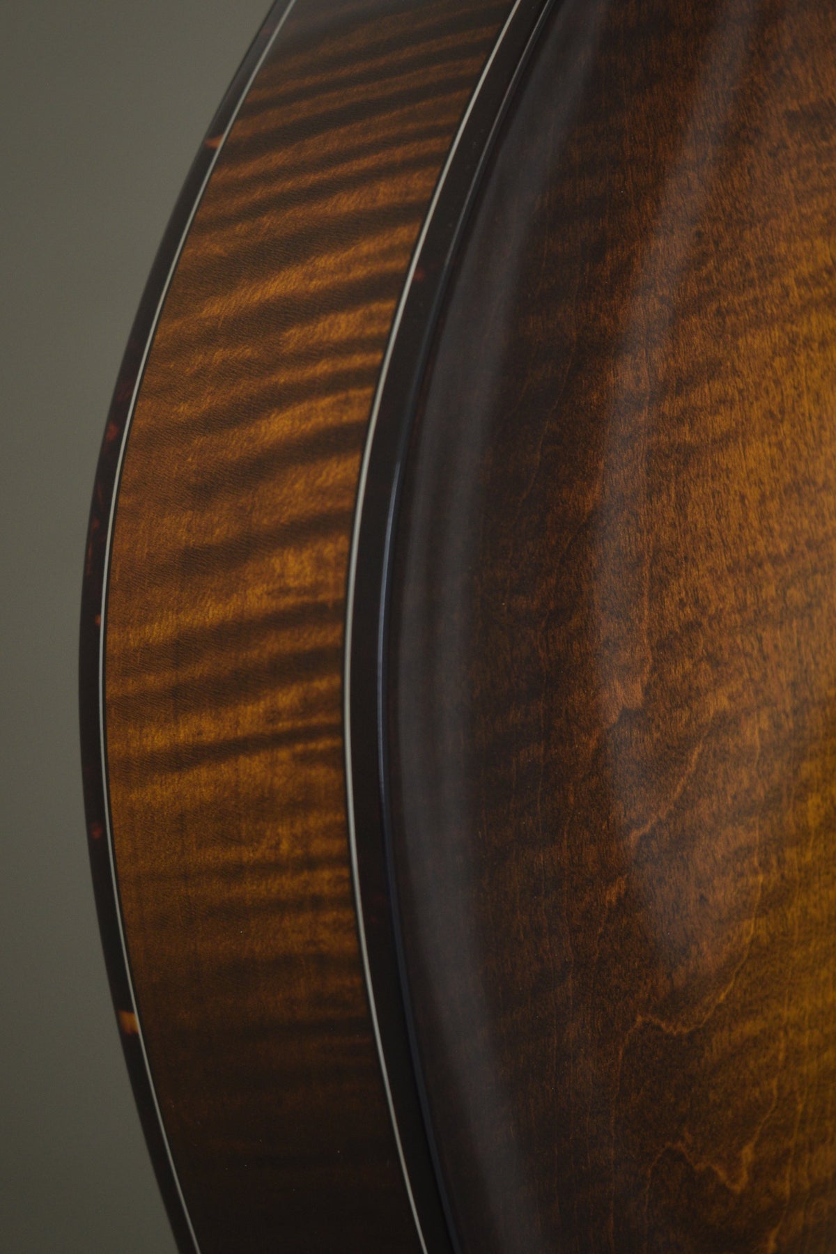 Flame maple rim and tortoise binding along the Big Mon mandolin's body curve