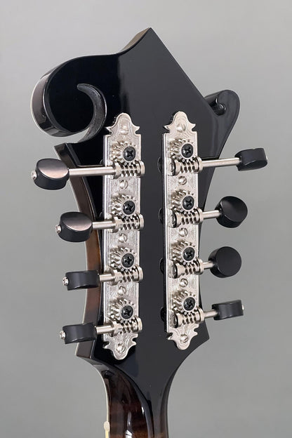 Northfield Big Mon w/ Italian Spruce Top (#B250841)