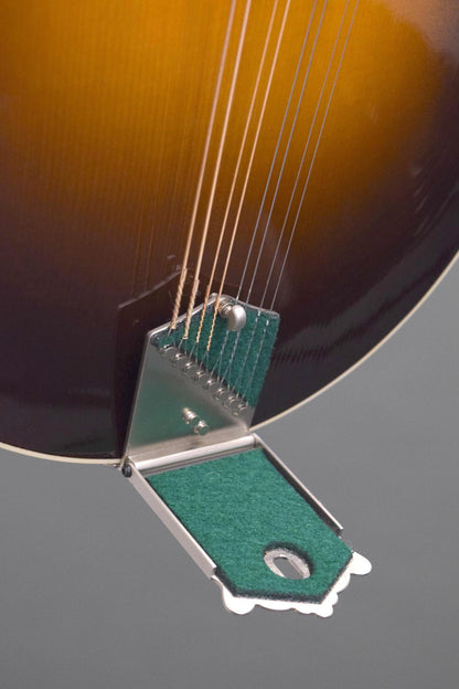 Big Mon tailpiece with the cover lifted, showing the string anchors and green felt