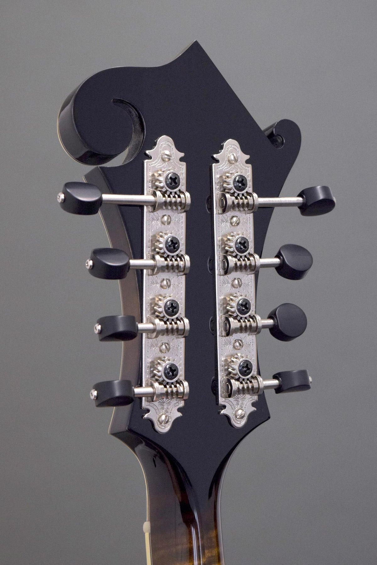 Back of the Big Mon headstock with engraved Gotoh tuners