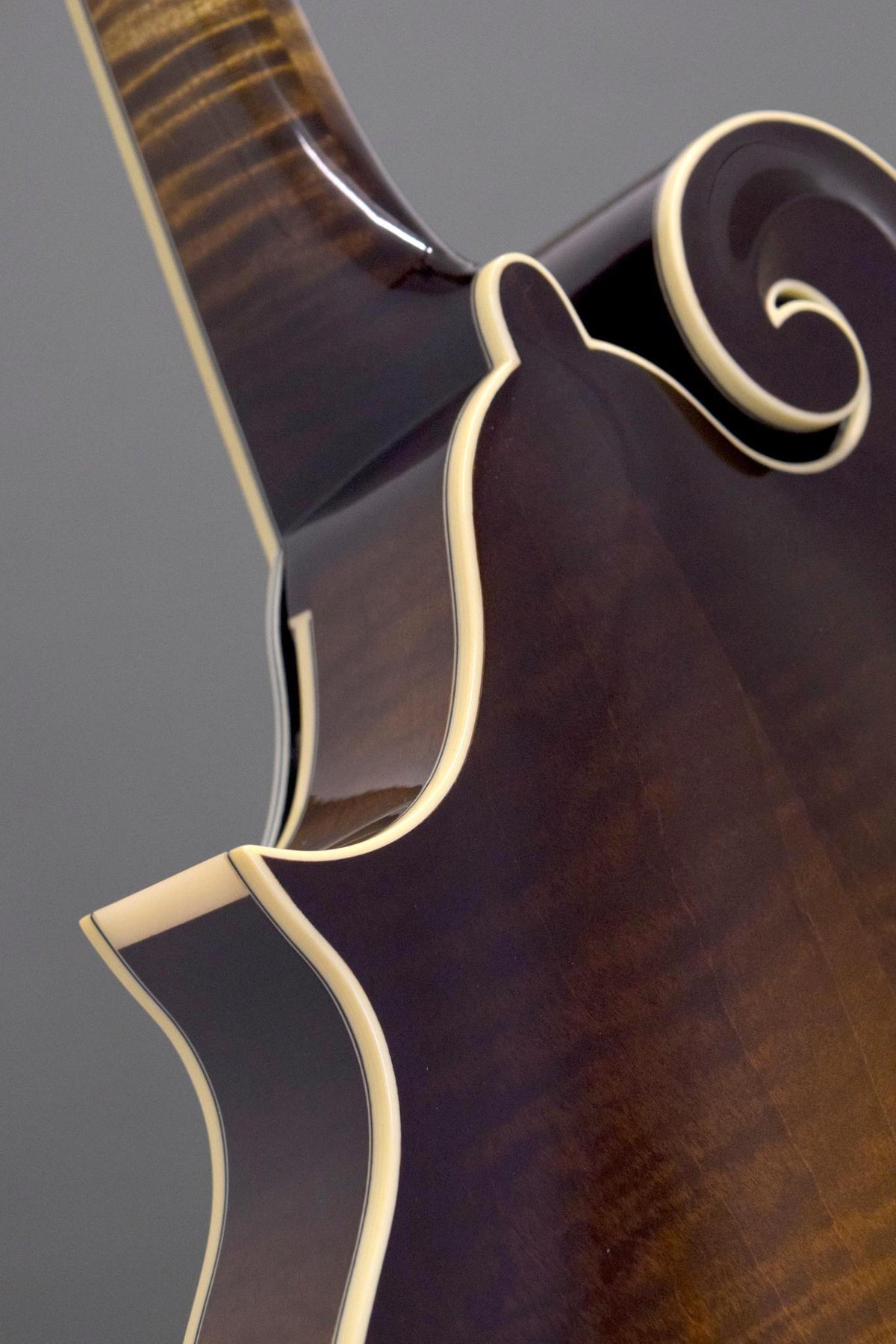 Back of the Big Mon's scroll and neck heel with ivoroid binding