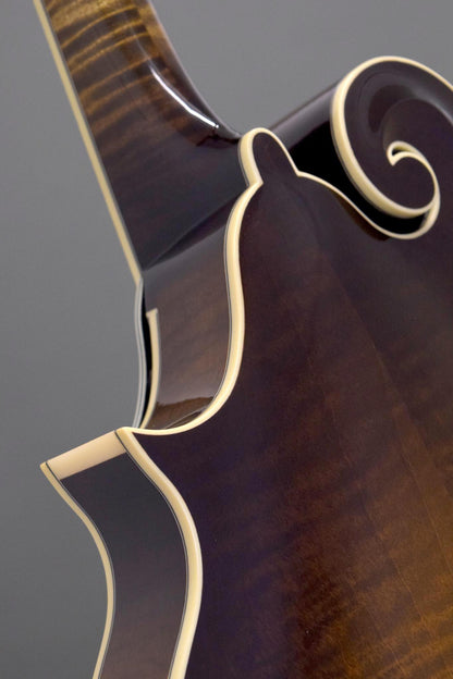 Back of the Big Mon's scroll and neck heel with ivoroid binding