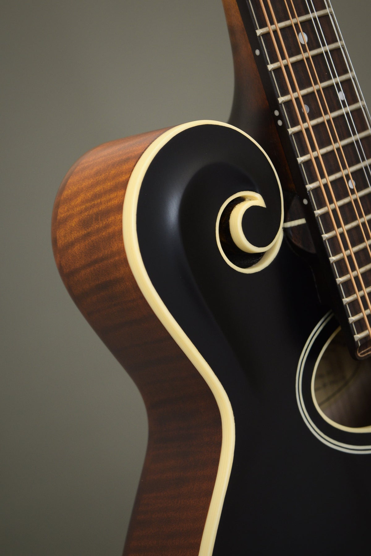 Carved scroll and ivoroid binding on the black-top Northfield F2S mandolin