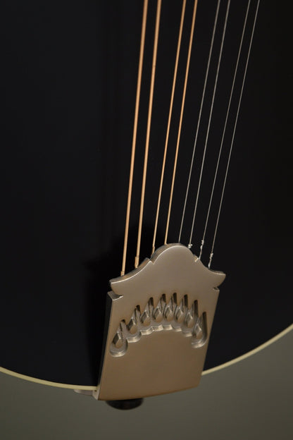 Northfield tailpiece on the F2S mandolin's black top