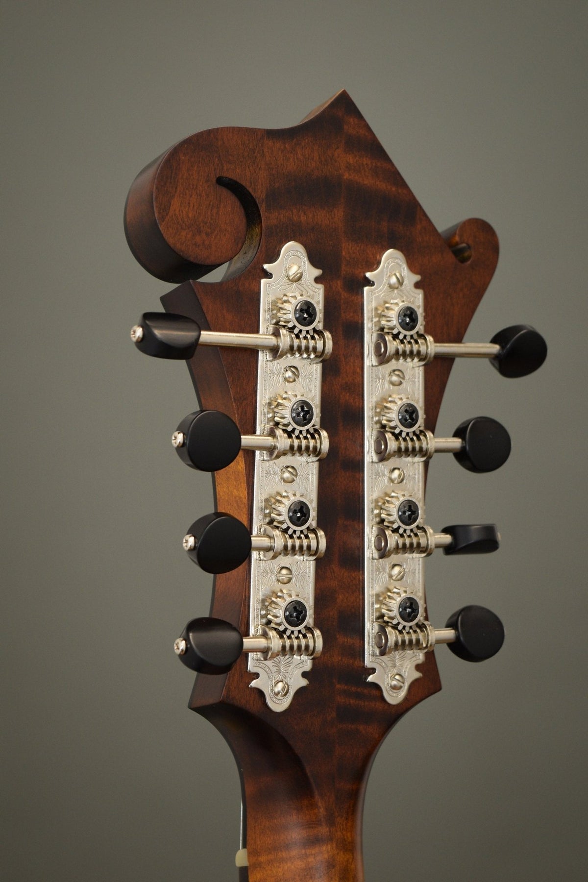 Back of the F2S headstock with engraved Gotoh tuners
