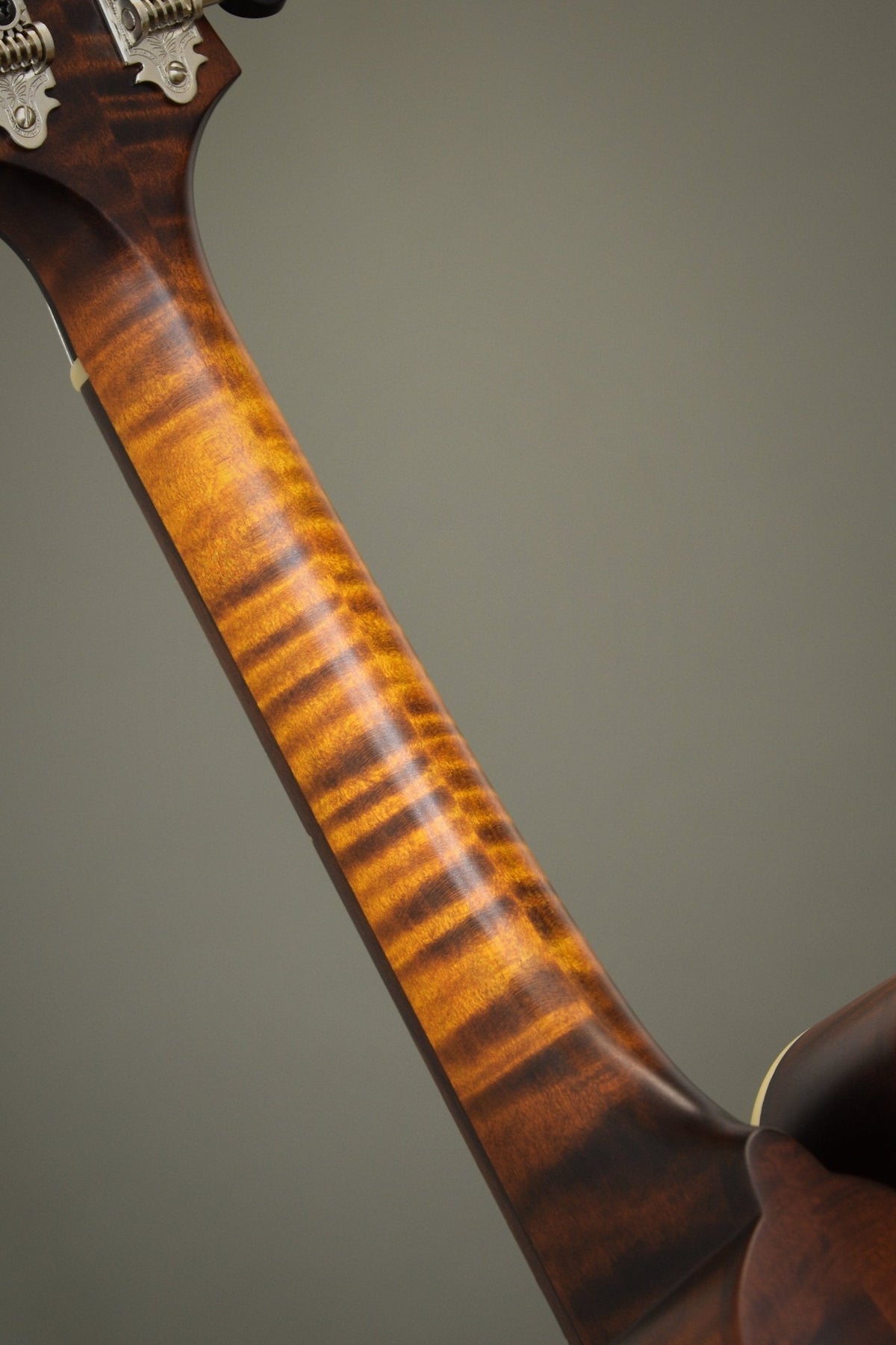 Flame maple neck back on the Northfield F2S mandolin