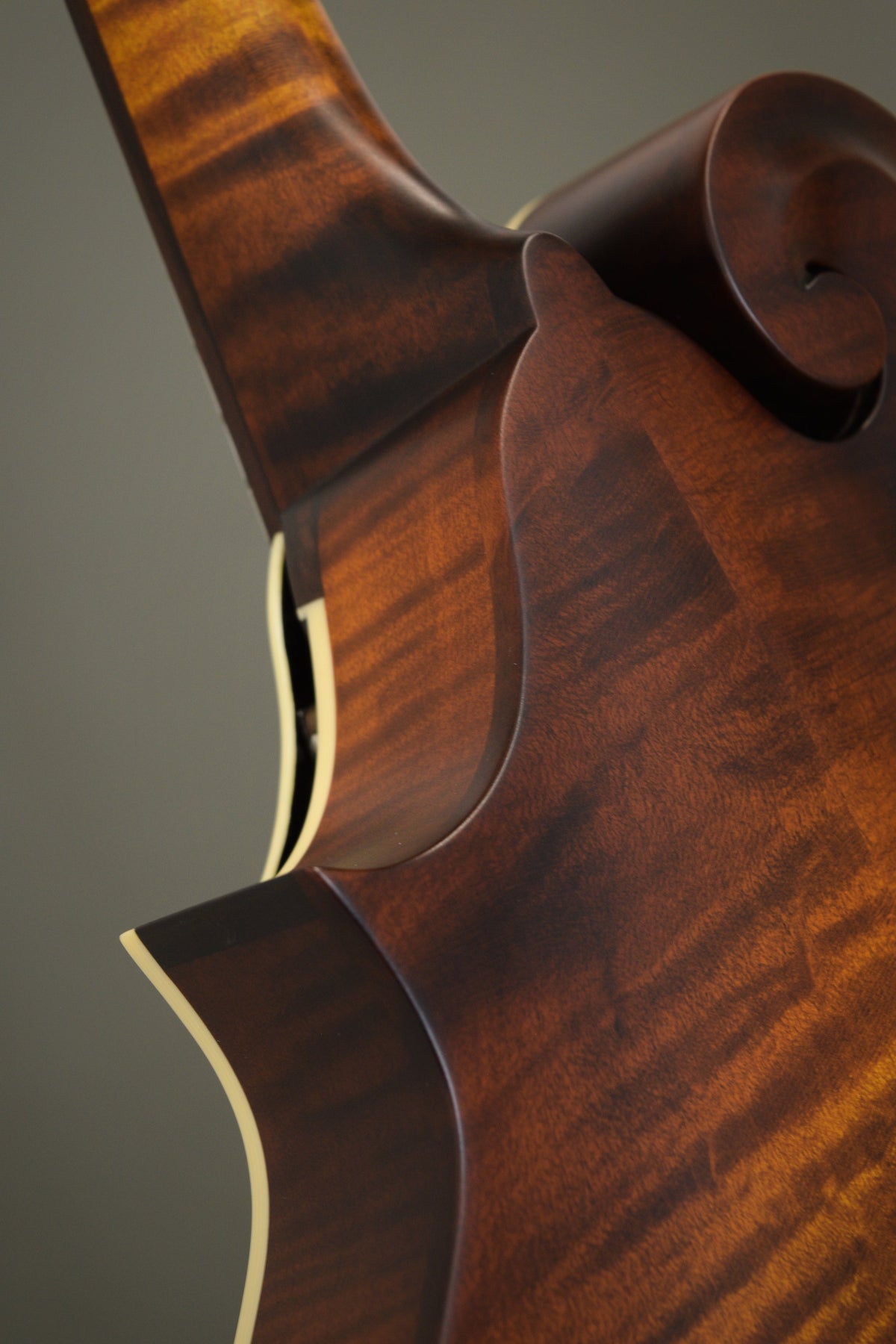 Back of the F2S mandolin's scroll and neck heel