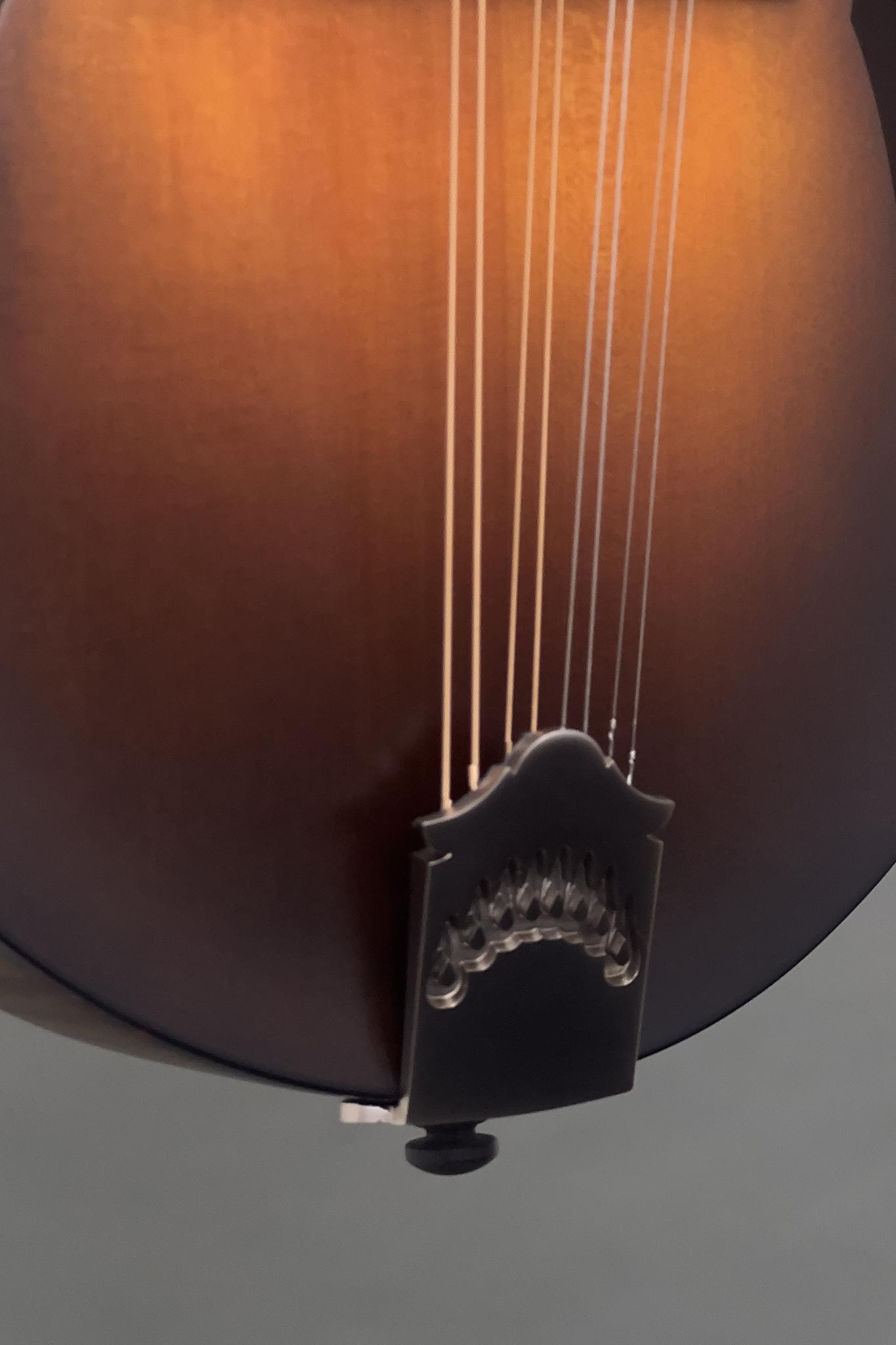 Northfield F5S w/ Red Spruce Top, Wide Nut & Tortoise Binding (#2601517)