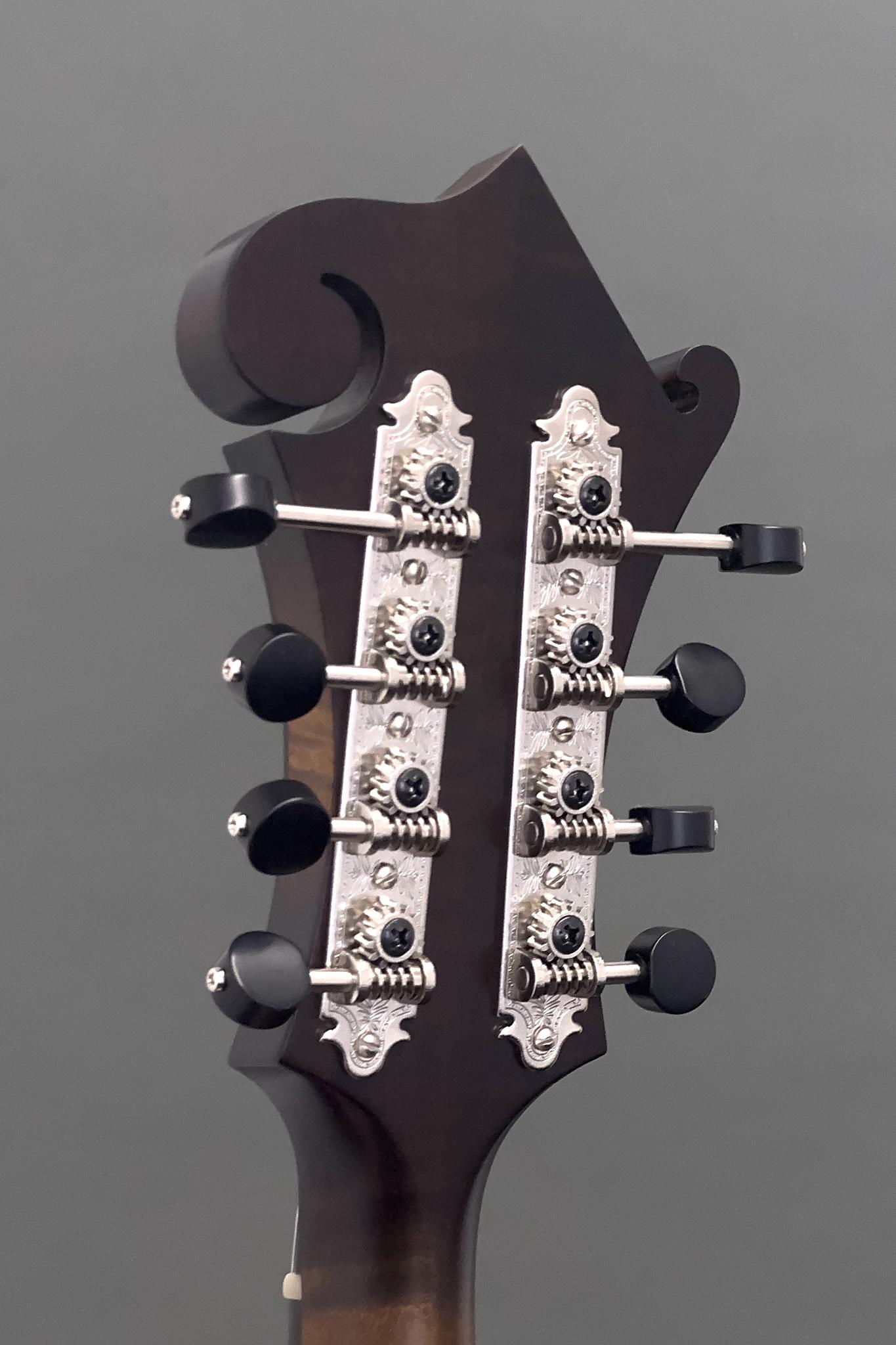 Northfield F5S w/ Red Spruce Top, Wide Nut & Tortoise Binding (#2601517)