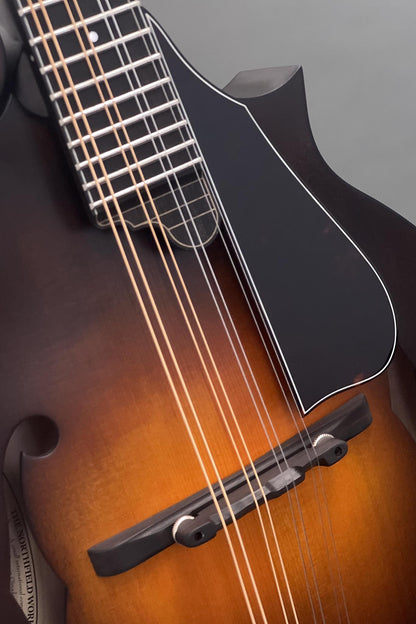 Northfield F5S w/ Red Spruce Top, Wide Nut & Tortoise Binding (#2601517)