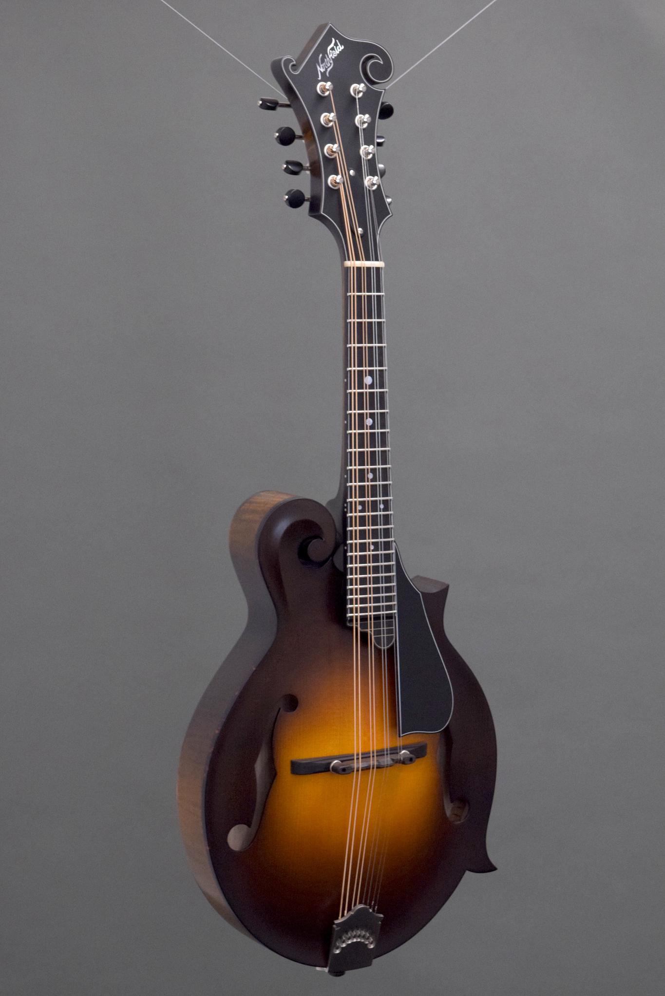Northfield F5S w/ Engelmann Spruce Top, Wide Nut & Tortoise Binding (#S2601557)