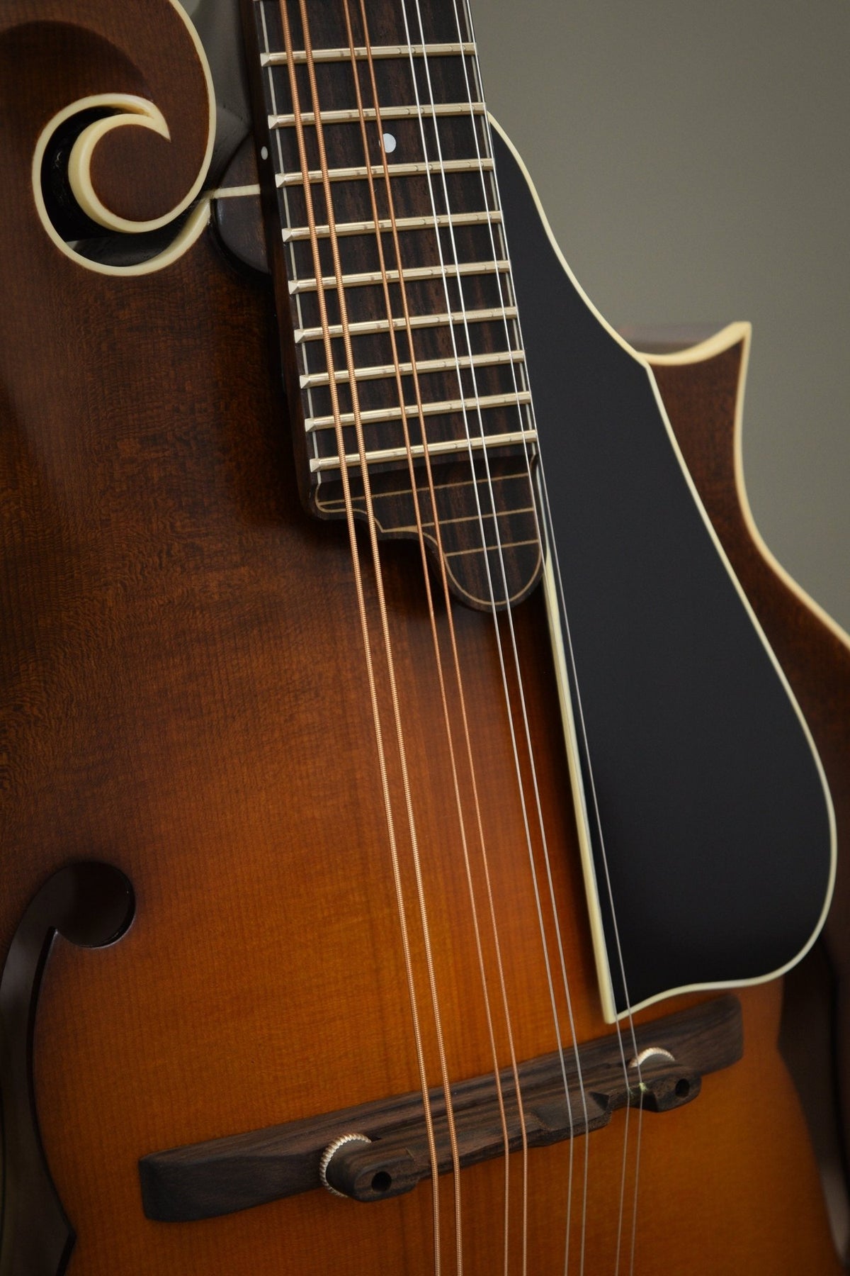 Black pickguard, fingerboard extension, and ebony bridge on the F5S mandolin