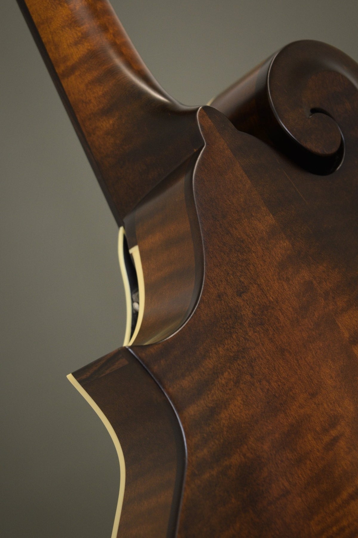 Back of the F5S mandolin's scroll and neck heel with ivoroid binding