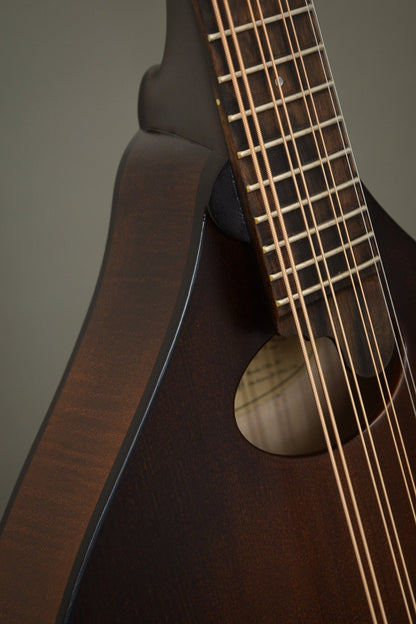 Oval sound hole and fingerboard extension on the Wavelength octave mandolin
