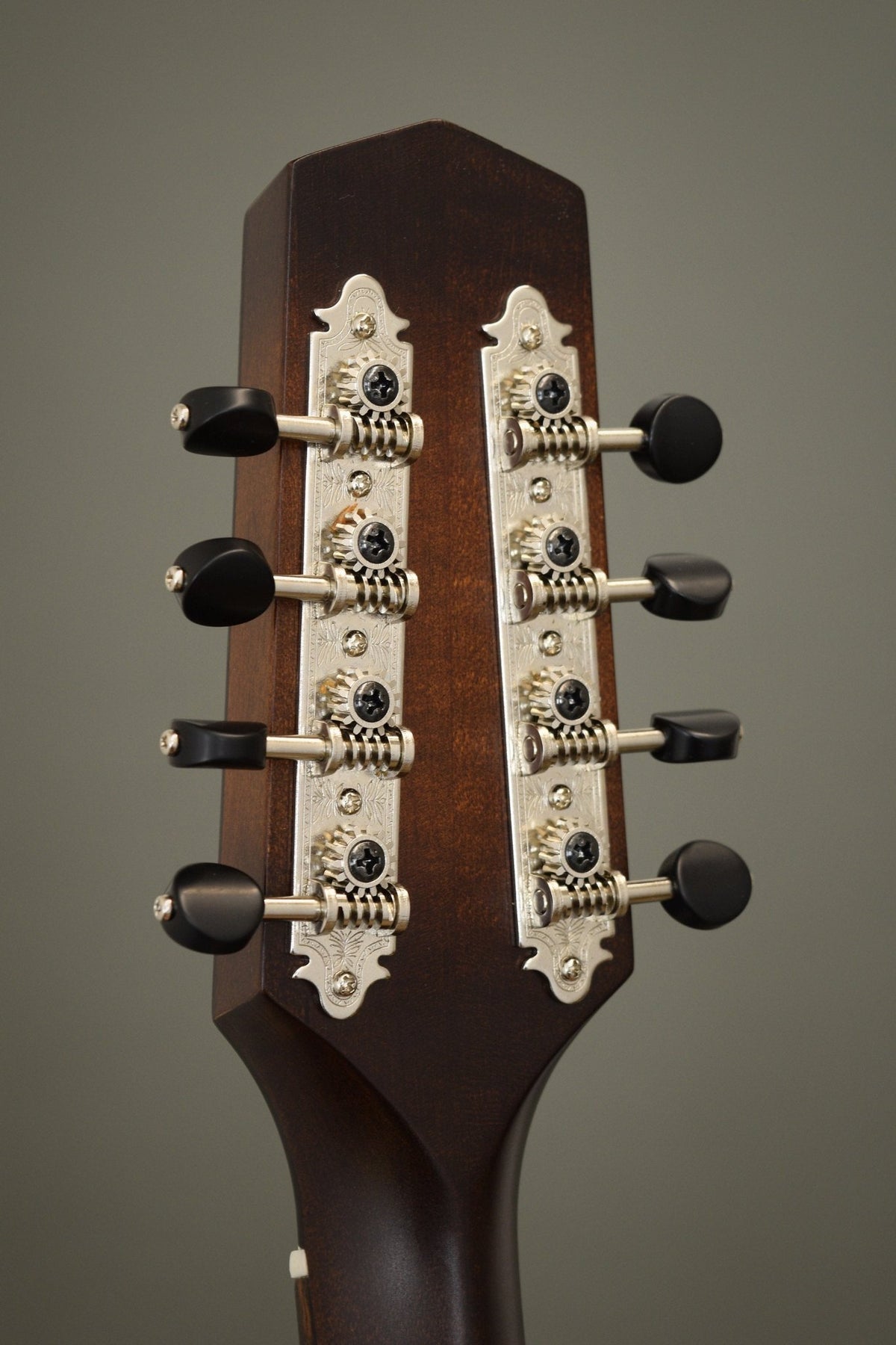 Back of the Wavelength headstock with engraved Gotoh tuners