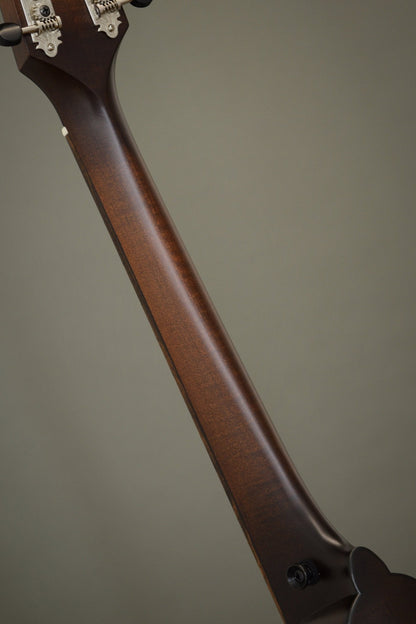 Figured maple neck back on the Wavelength octave mandolin