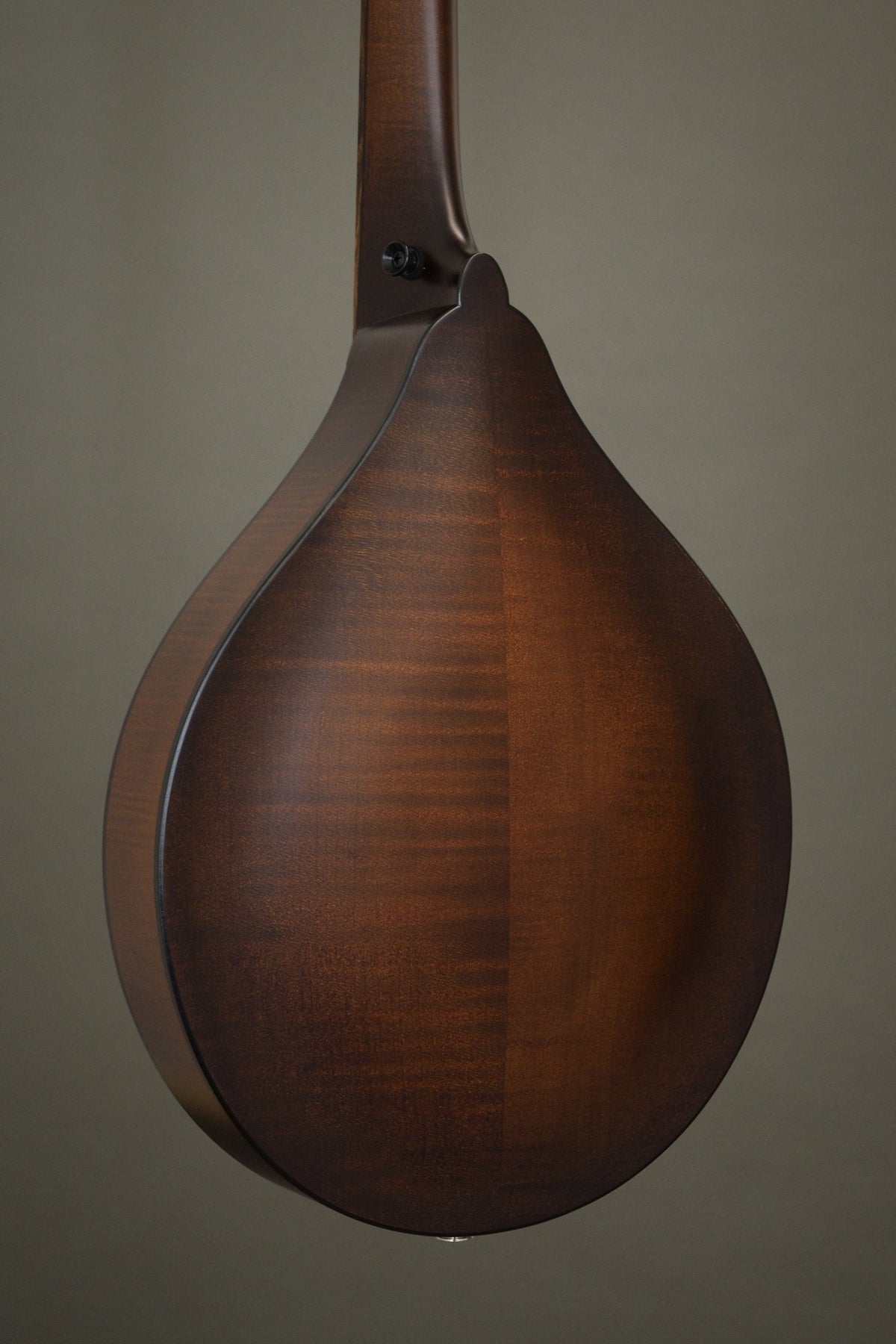 Figured Michigan maple back of the Wavelength octave mandolin