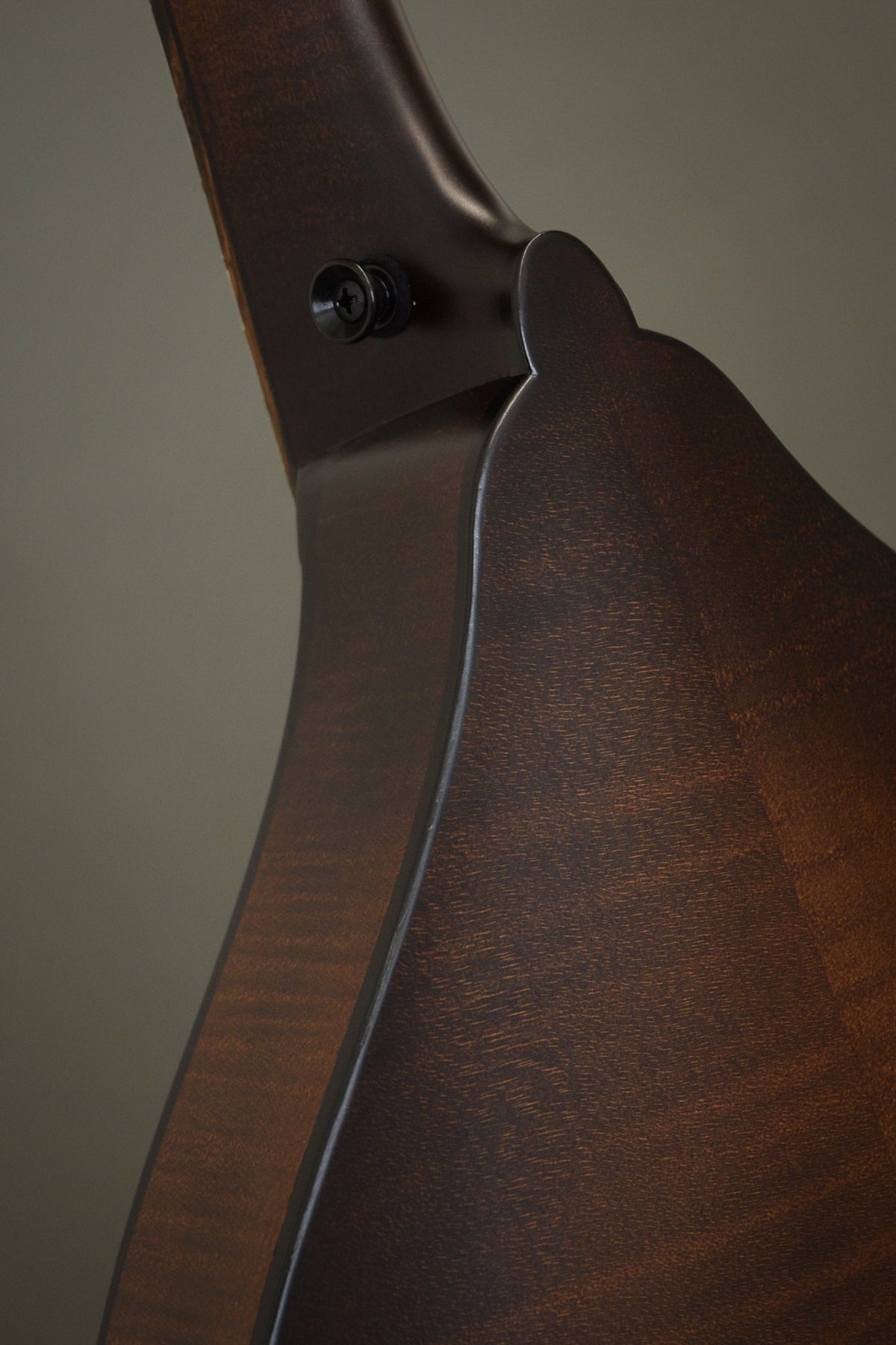 Neck heel and strap button on the back of the Wavelength octave mandolin