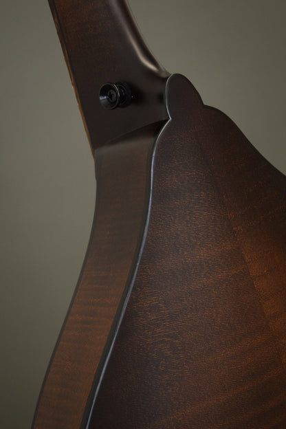 Neck heel and strap button on the back of the Wavelength octave mandolin